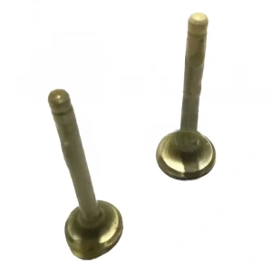 Yamaha Cygnus Subap Takım