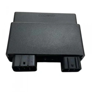 Yamaha YBR 125 K Beyin 8+6 Pin