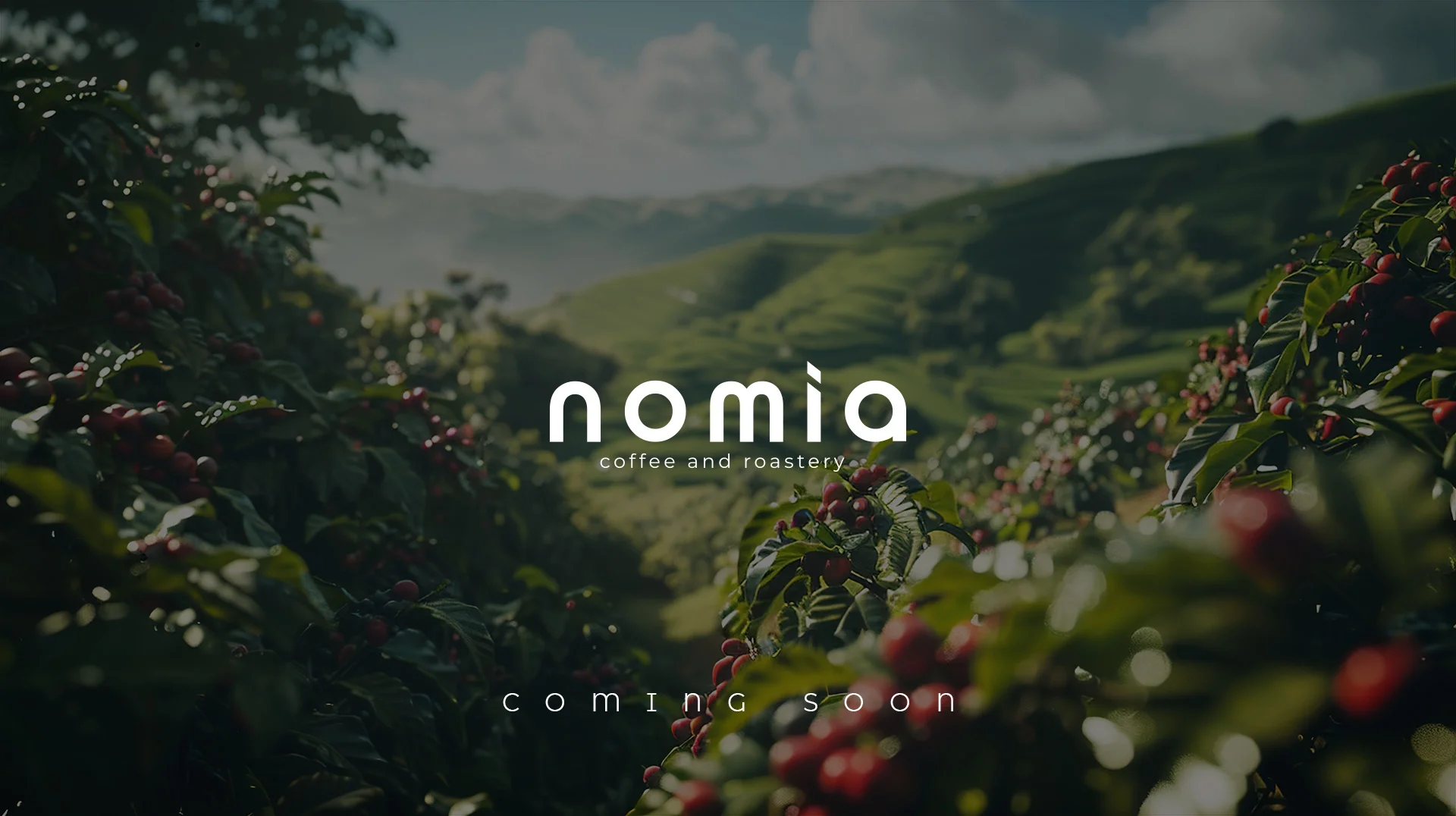Nomia Coffee and Roastery Coming Soon