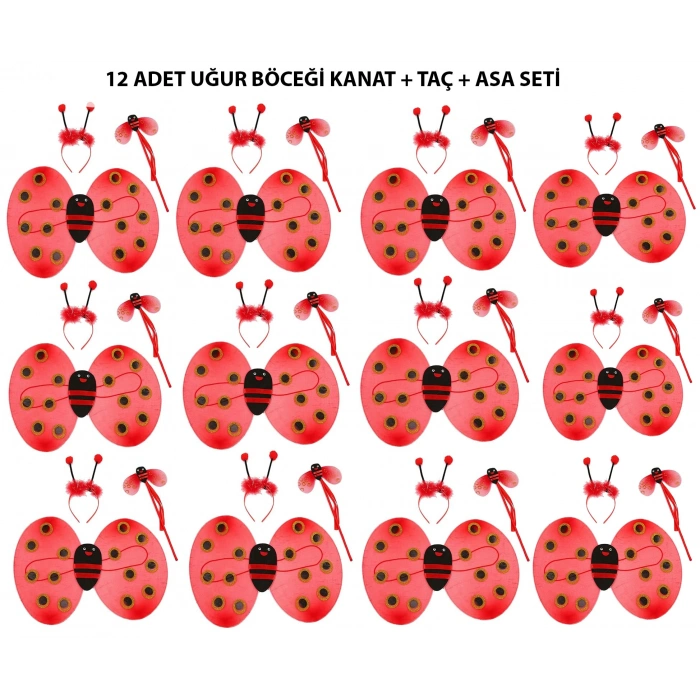 Uğur Böceği Kostüm Seti - Kanat, Taç, Asa 12 Adet