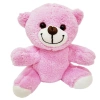 Pembe Peluş Oyuncak Ayıcık