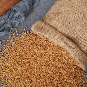 Hediklik Buğday 1000 gr