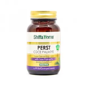 Shiffa Home Perst Cüce Palmiye Saw Palmetto