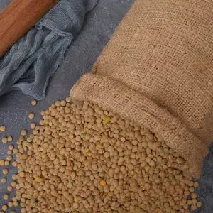 Yeşil Mercimek 1000 gr