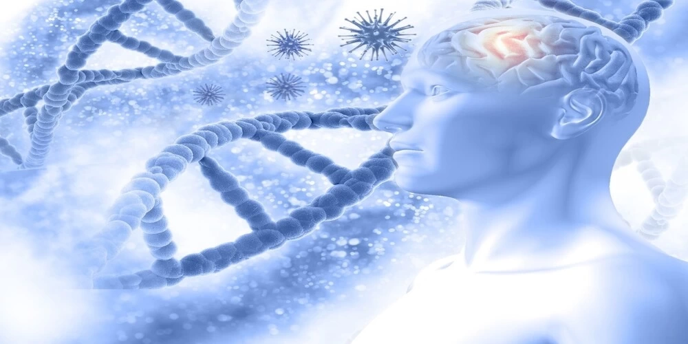 Fosfatidilserin Nedir?