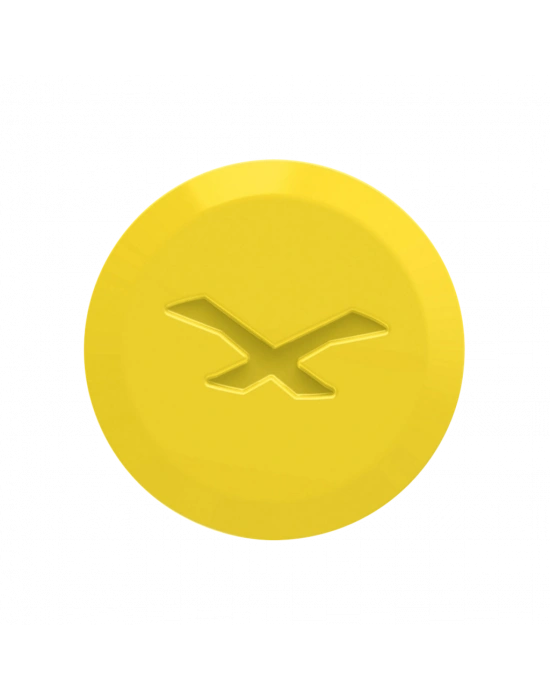 NEXX SX.10 YAN KAPAK VİDASI