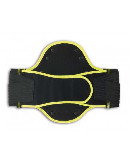 ZANDONA 1204  BELLİK