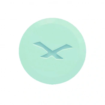 NEXX SX.10 YAN KAPAK VİDASI