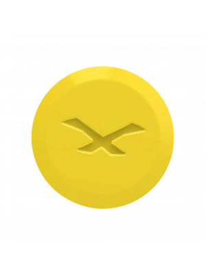 NEXX SX.10 YAN KAPAK VİDASI