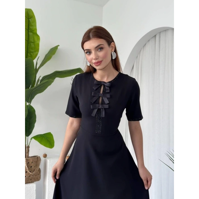 Wera Taşlı Fiyonk Detaylı Elbise