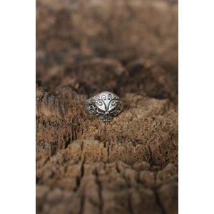 Ayarlanabilir Motifli Kuru Kafa Tasarımlı Erkek Yüzük