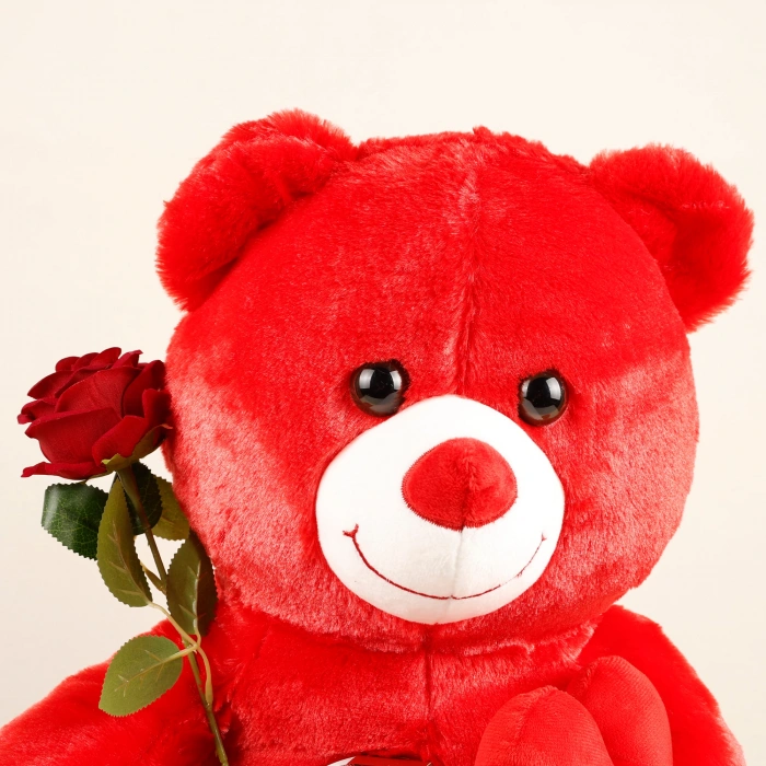 Gül ve Kalp Ayıcık Seti