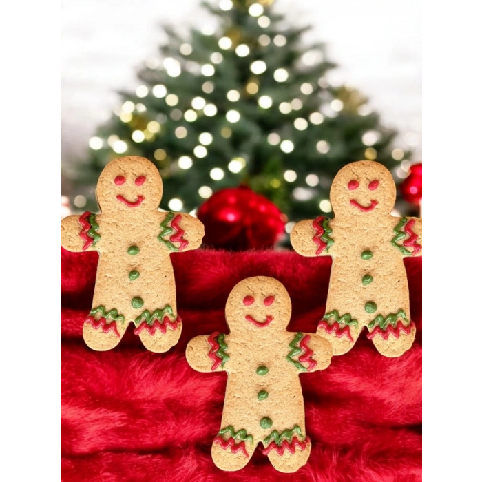 Zencefil Adam 10 lu Paket