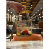 Kahve Aşkı Hediyelik