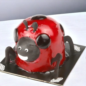 Uğur Böceği Pasta