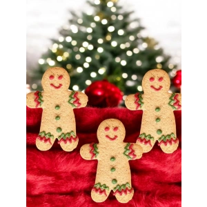 Zencefil Adam 10 lu Paket