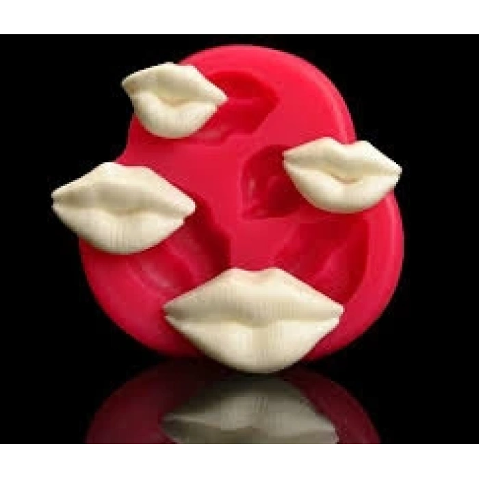 Dudaklar Silikon Set