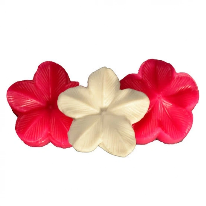 İkili Çiçek Silikon Kalıp
