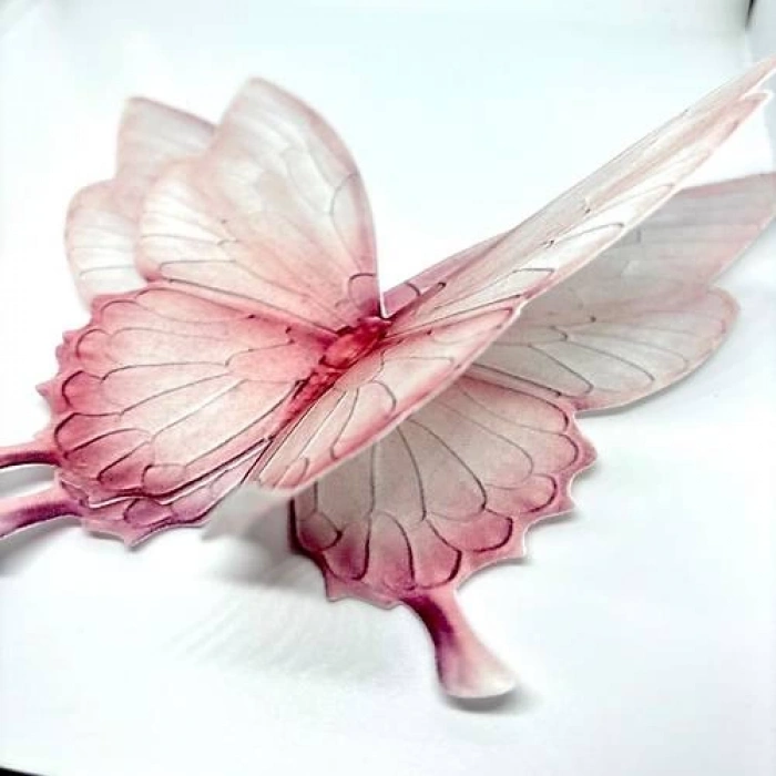 Yenilebilir Kelebekler Büyük Boy 2 li