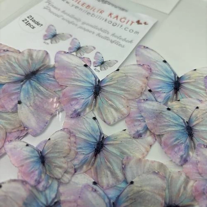 Yenilebilir Kelebek 9