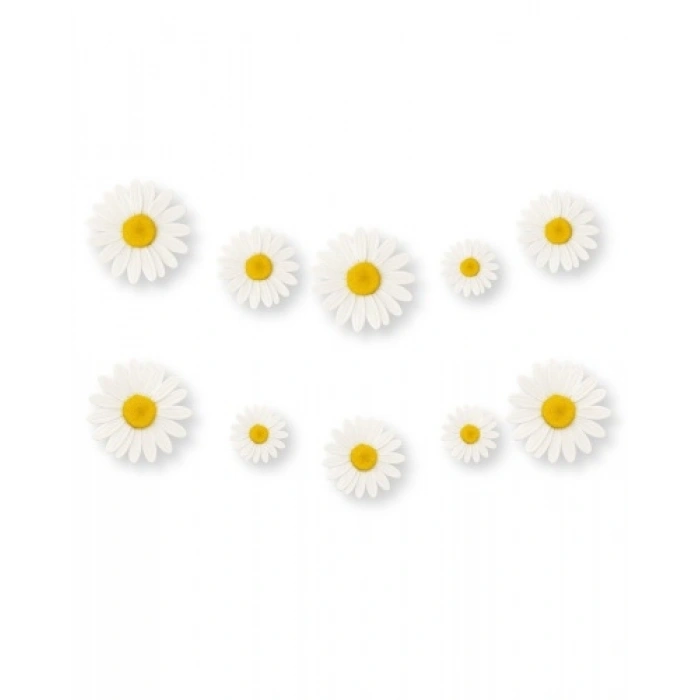 Kağıt Banner Papatya Temalı 10 Parça