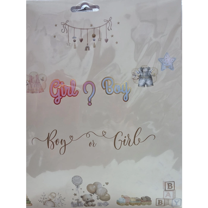 Boy or Girl Cinsiyet Kağıt Banner