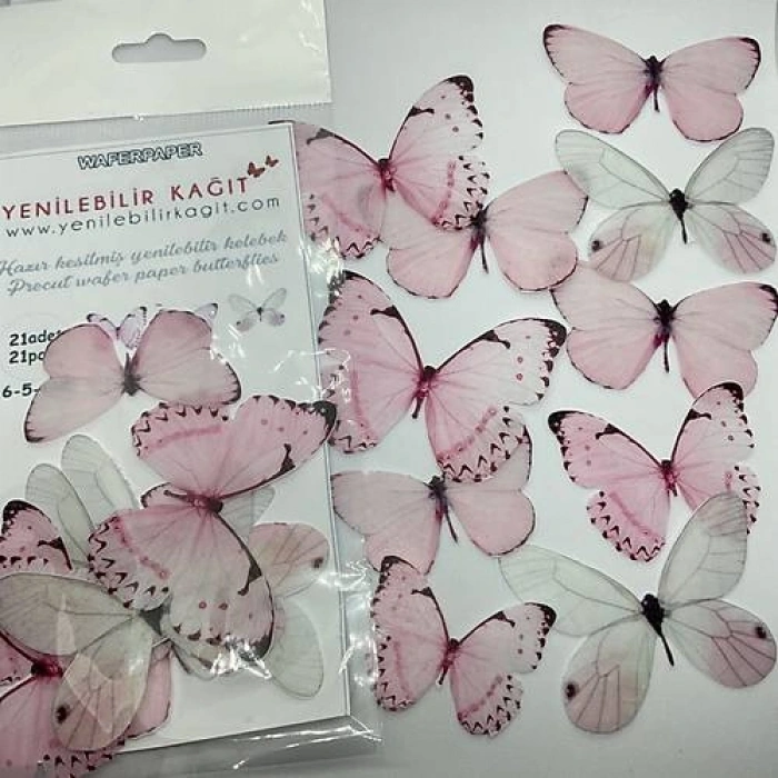 Yenilebilir Kelebek 13