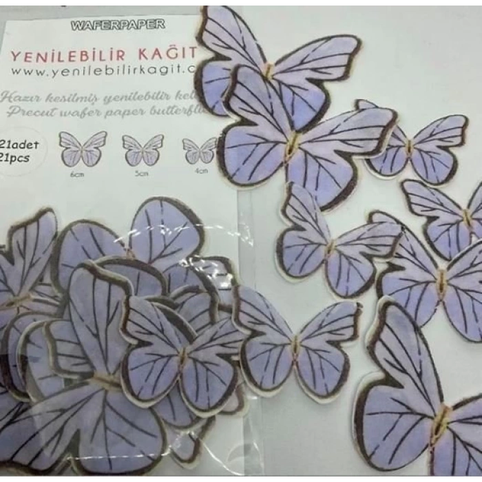 Yenilebilir kelebek 15