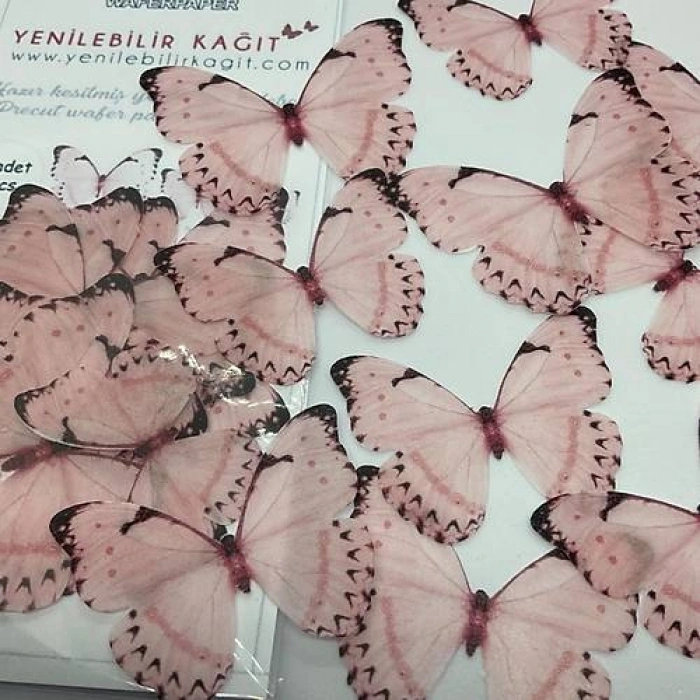 Yenilebilir Kelebek 17