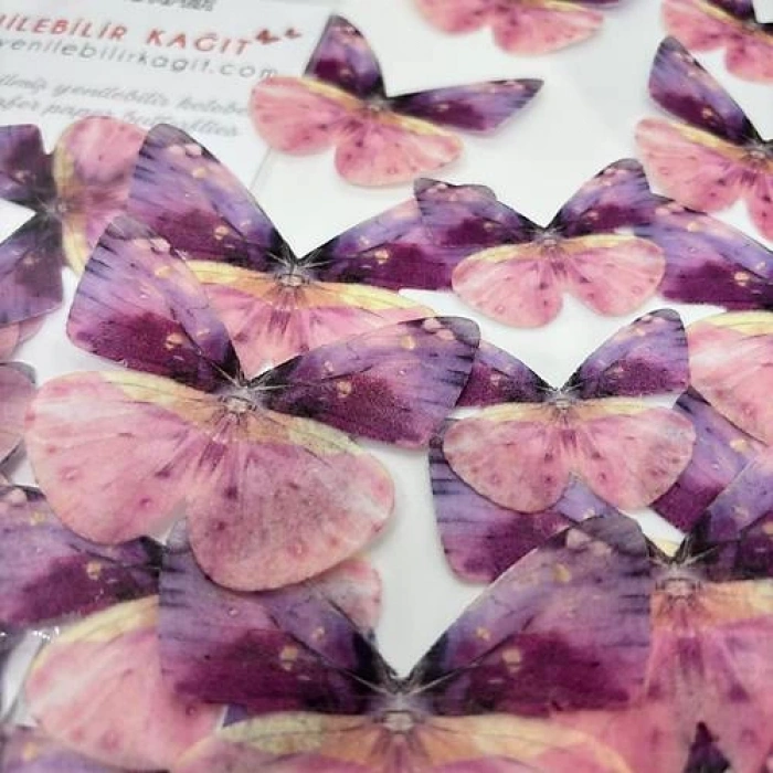 Yenilebilir Kelebek 19