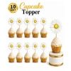Kürdan Papatya 10 Parça
