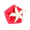 Cesil Deniz Yıldızı Silikon Kalıp 4.5*4.5 cm