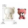 Teddy Bear Ayıcık Silikon Kalıp
