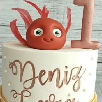 R06 Reçine Göz Hayvan Gözü içindir 24 çift