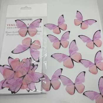 Yenilebilir Kelebek 23