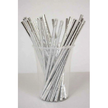 Kağıt Pipet Parlak Gümüş 24 Parça