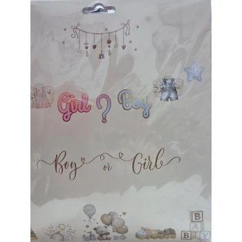 Boy or Girl Cinsiyet Kağıt Banner