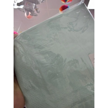 Düz Tek Renk Peçete 20 li