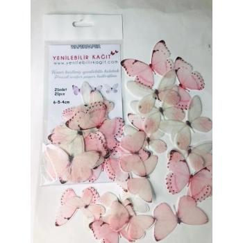 Yenilebilir Kelebek 13