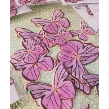 Yenilebilir kelebek 14