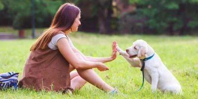 Köpeğinizle Daha Güçlü Bir Bağ Kurmanın 5 Yolu