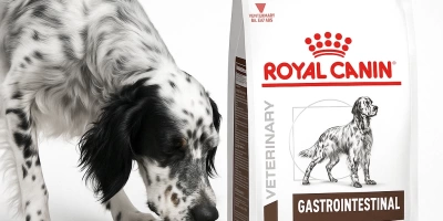 Royal Canin Gastrointestinal Köpek Maması Kullananlar Ne Diyor? Sindirim Sorunlarına Etkisi