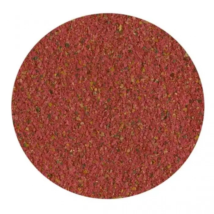 Tetra Guppy Lepistes Balık Yemi 100 ml