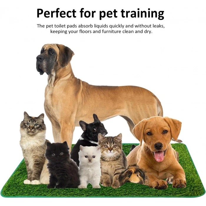 Tekrar Kullanılabilir Köpek Tuvalet Eğitim Halısı M 46x58 cm