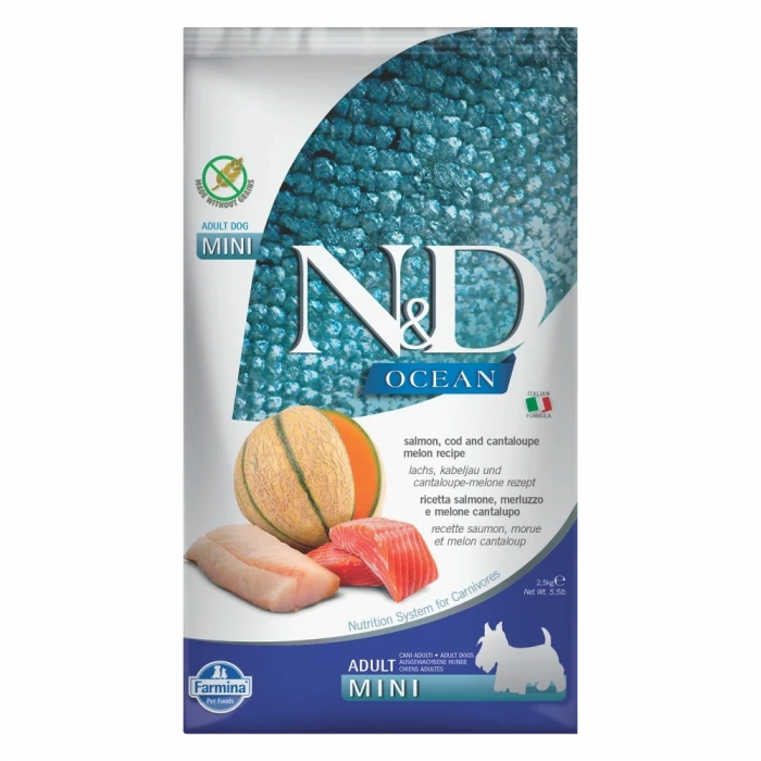 ND Ocean Somonlu Morina Balıklı ve Kavunlu Tahılsız Mini Irk Yetişkin Köpek Maması 2.5 Kg