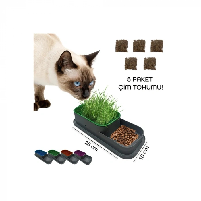 Pet Soft Yeni Nesil Mama ve Topraksız Kedi Çimi Kabı