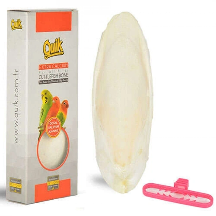 Quik Mürekkep Balığı Kemiği Orta Boy 10 - 13 Cm (Kalamar)