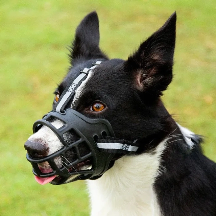 Ayarlanabilir Esnek Nefes Alınabilen Köpek Ağızlık