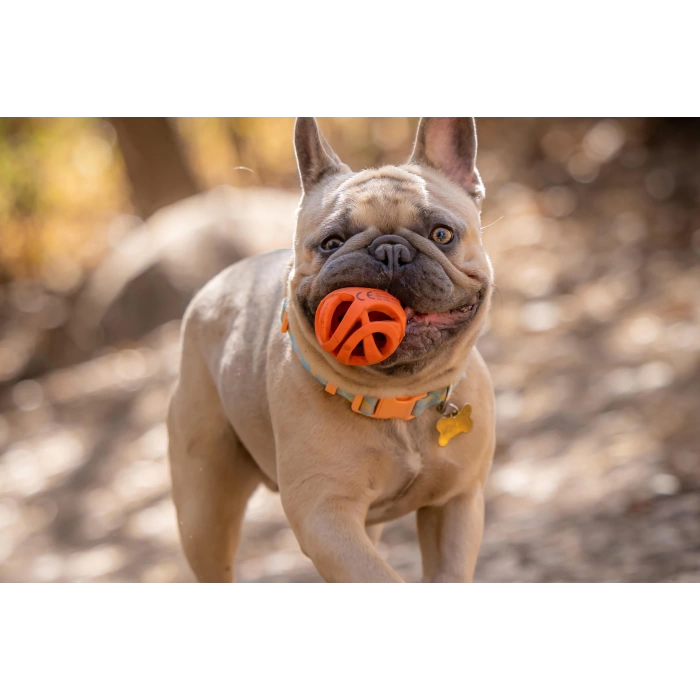 Chuckit! Air Fetch Ball Küçük Irk At Getir Köpek Oyun Topu Küçük Boy 2li