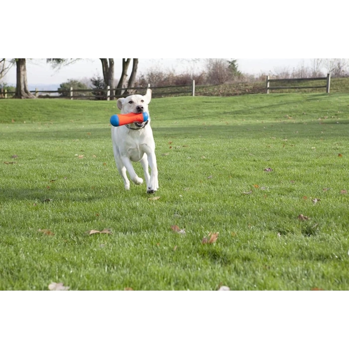 Chuckit! Amphibious Tumble Bumper Suda Yüzebilen Dayanıklı Köpek Oyuncağı